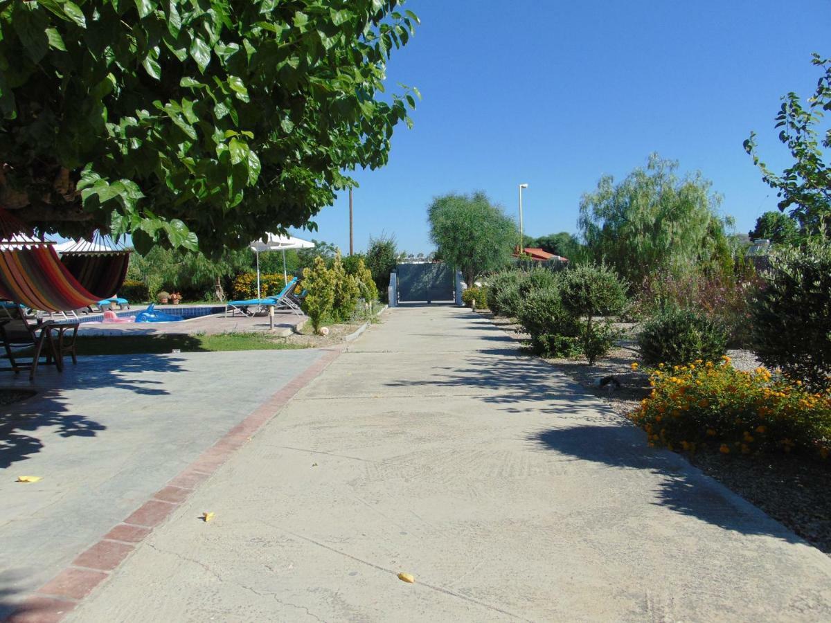 Villa Dora Faliraki Eksteriør bilde