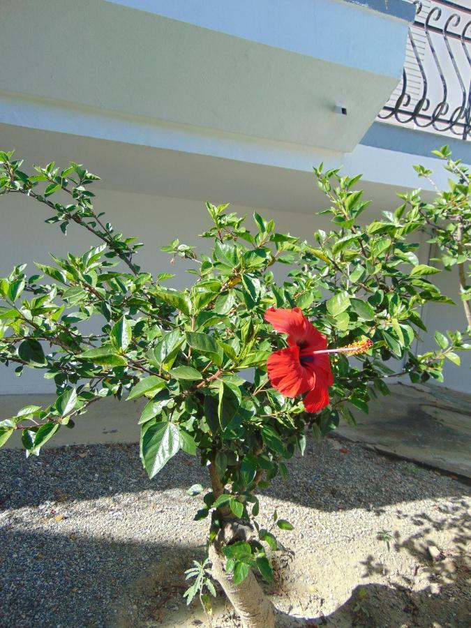 Villa Dora Faliraki Eksteriør bilde